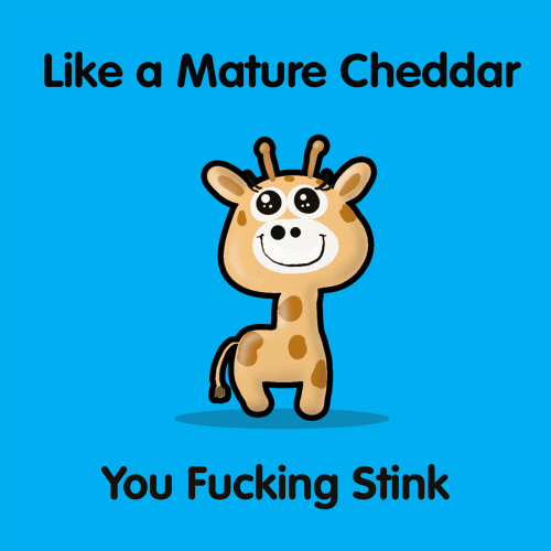 Mature Cheddar Giraffe